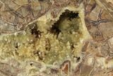 Yellow Crystal Filled Septarian Geode - Utah #94407-1